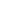 audit
