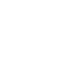 icon-1-d13932c3-1920w